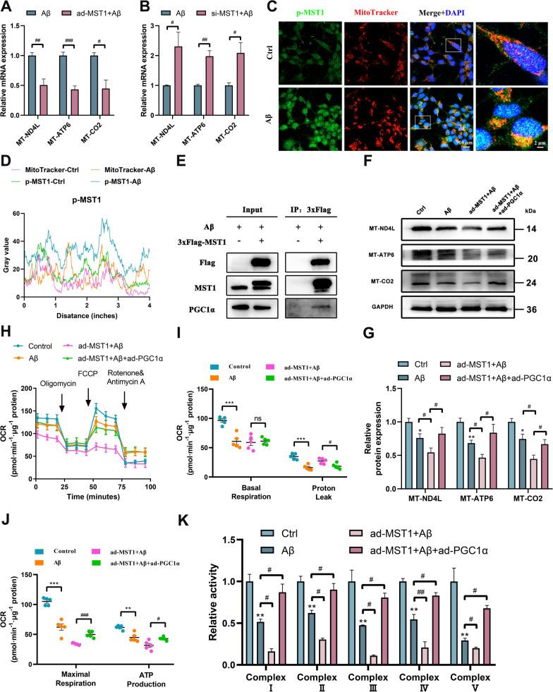 https://cdn.ncbi.nlm.nih.gov/pmc/blobs/5097/11583452/72cc5d1ac323/12967_2024_5852_Fig8_HTML.jpg