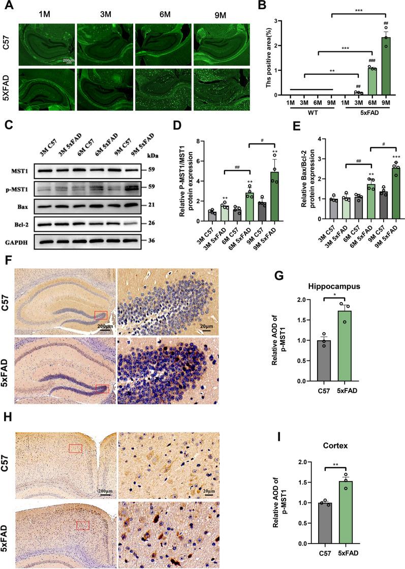 https://cdn.ncbi.nlm.nih.gov/pmc/blobs/5097/11583452/8416a0a597a5/12967_2024_5852_Fig1_HTML.jpg