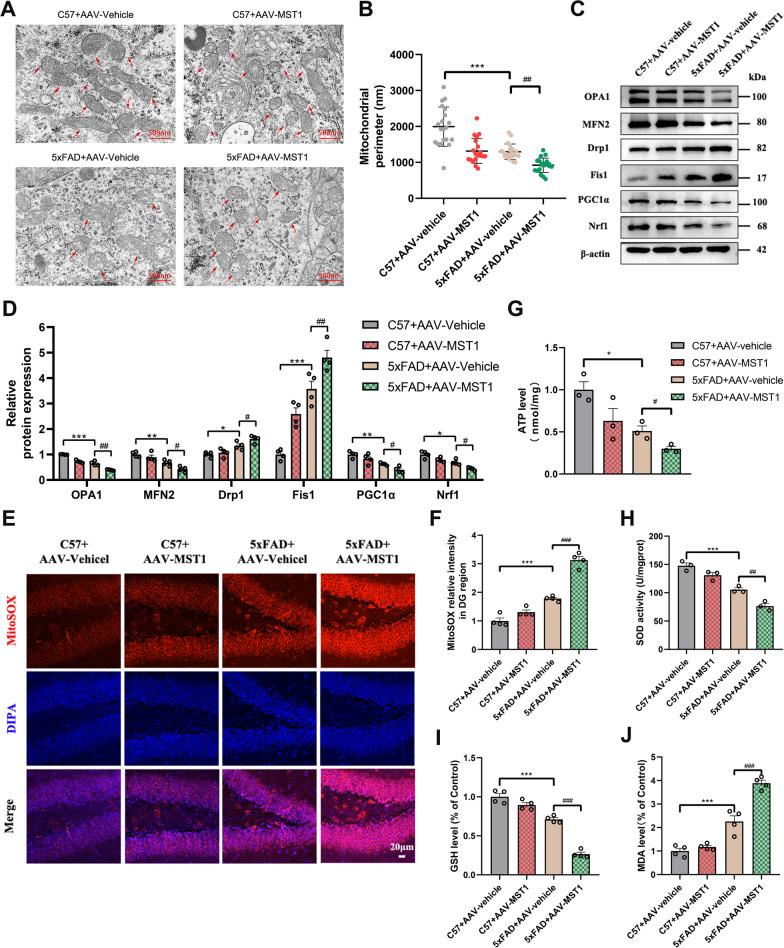 https://cdn.ncbi.nlm.nih.gov/pmc/blobs/5097/11583452/d9baf95e57e4/12967_2024_5852_Fig4_HTML.jpg