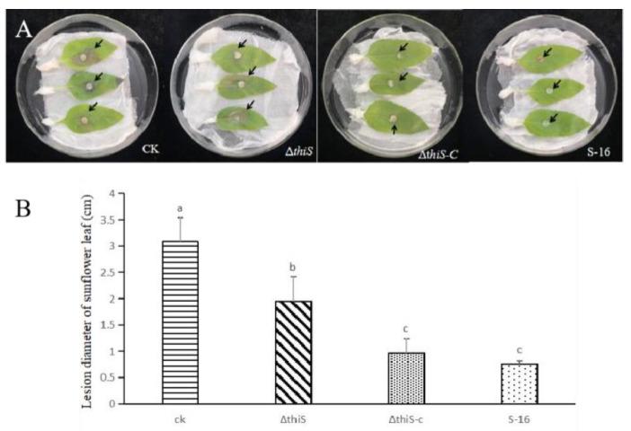 https://cdn.ncbi.nlm.nih.gov/pmc/blobs/5098/10297220/f1346fb68a13/cimb-45-00292-g004.jpg