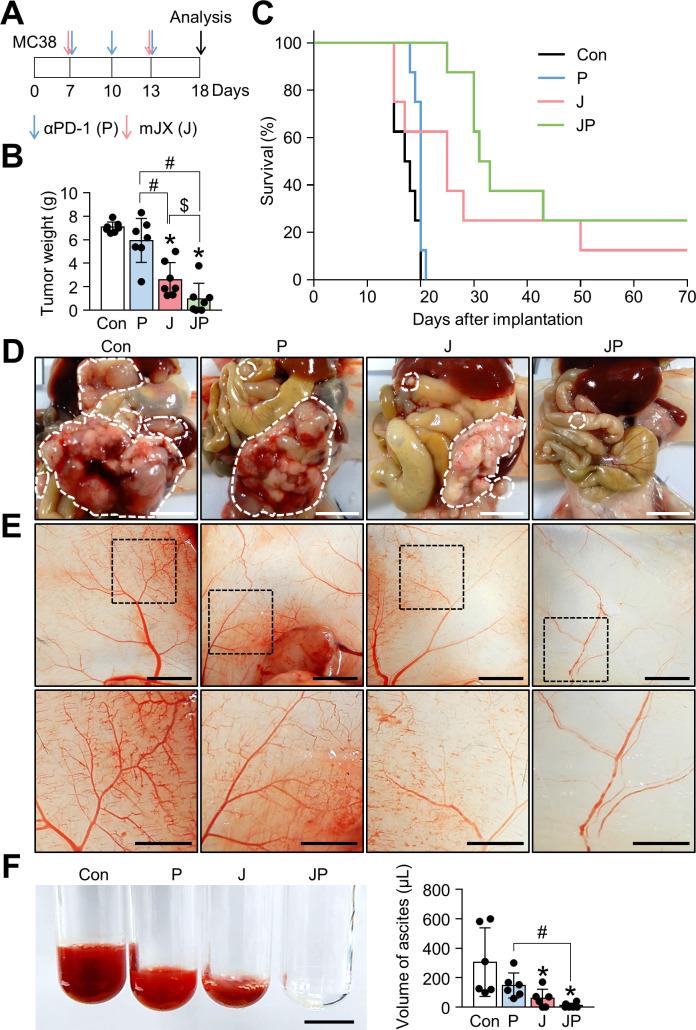 https://cdn.ncbi.nlm.nih.gov/pmc/blobs/509a/7670945/21d3812b7a82/jitc-2020-000857f05.jpg