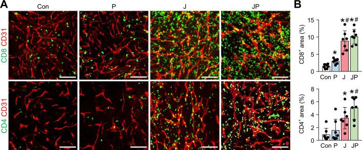 https://cdn.ncbi.nlm.nih.gov/pmc/blobs/509a/7670945/43459a91442c/jitc-2020-000857f06.jpg