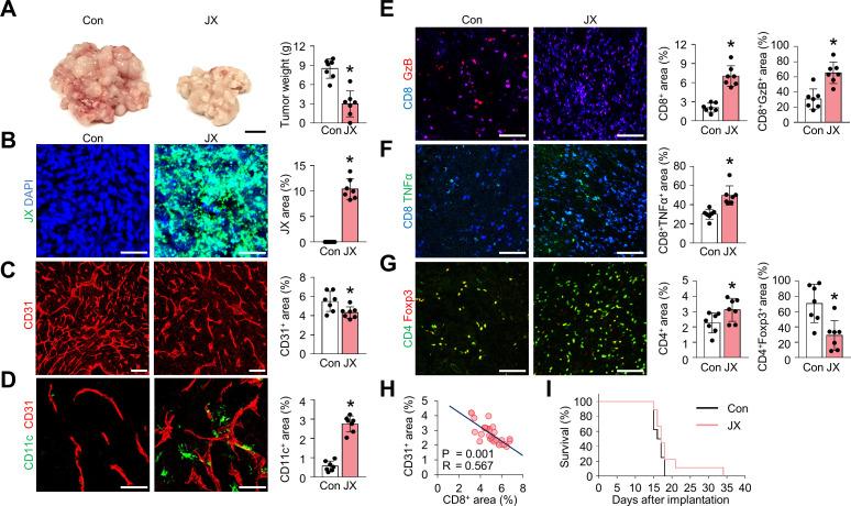 https://cdn.ncbi.nlm.nih.gov/pmc/blobs/509a/7670945/bdc20b6df8b7/jitc-2020-000857f02.jpg