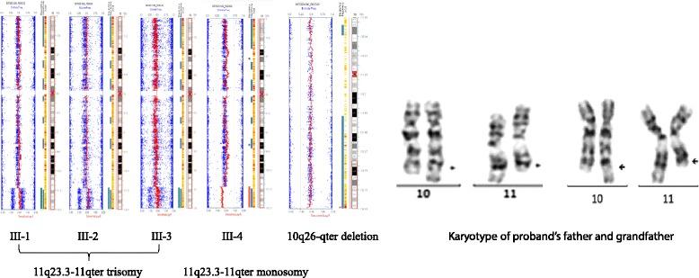 https://cdn.ncbi.nlm.nih.gov/pmc/blobs/509e/4314806/8403fff1640a/13039_2014_101_Fig3_HTML.jpg
