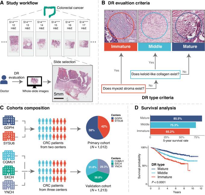 https://cdn.ncbi.nlm.nih.gov/pmc/blobs/50a0/10269709/a7f7018da242/crc-23-0073_fig1.jpg