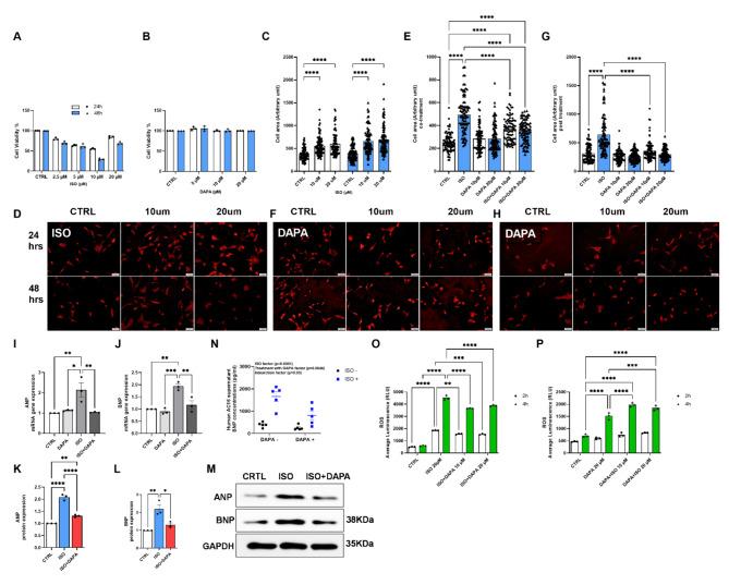 https://cdn.ncbi.nlm.nih.gov/pmc/blobs/50a0/11520772/6471b33980df/12933_2024_2481_Fig1_HTML.jpg