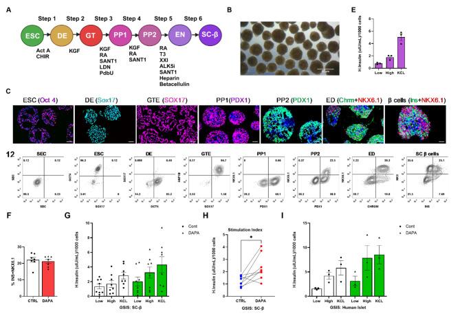 https://cdn.ncbi.nlm.nih.gov/pmc/blobs/50a0/11520772/9094c6ad0bf7/12933_2024_2481_Fig6_HTML.jpg