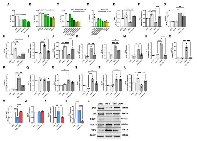 https://cdn.ncbi.nlm.nih.gov/pmc/blobs/50a0/11520772/9df20c648e67/12933_2024_2481_Fig4_HTML.jpg