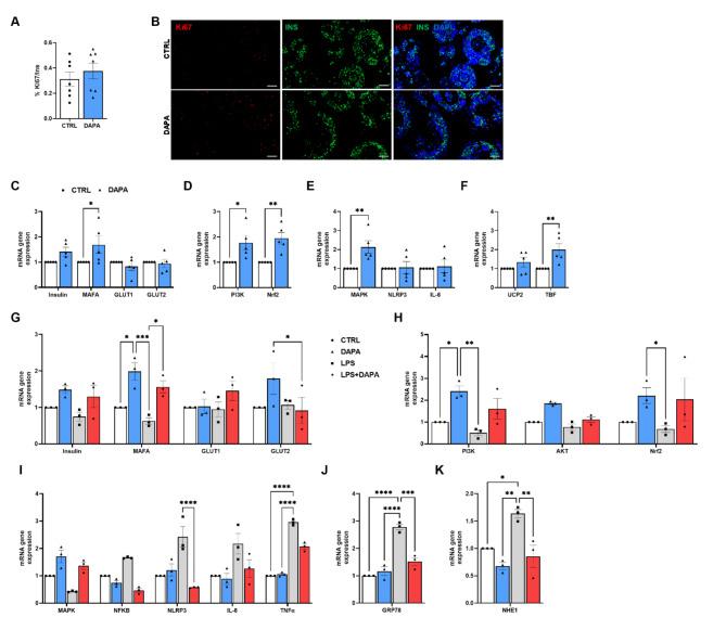 https://cdn.ncbi.nlm.nih.gov/pmc/blobs/50a0/11520772/a0dca66ce7bb/12933_2024_2481_Fig7_HTML.jpg