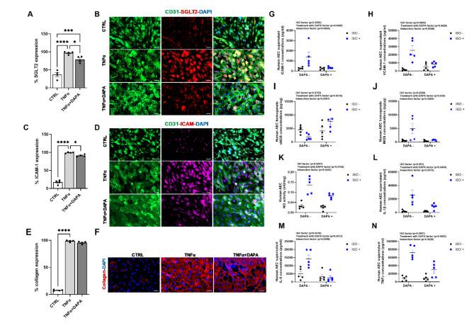 https://cdn.ncbi.nlm.nih.gov/pmc/blobs/50a0/11520772/ec284dd1e418/12933_2024_2481_Fig5_HTML.jpg