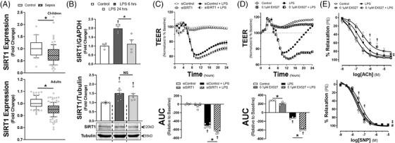 https://cdn.ncbi.nlm.nih.gov/pmc/blobs/50a0/9473483/526e089ee2c6/CTM2-12-e1054-g002.jpg