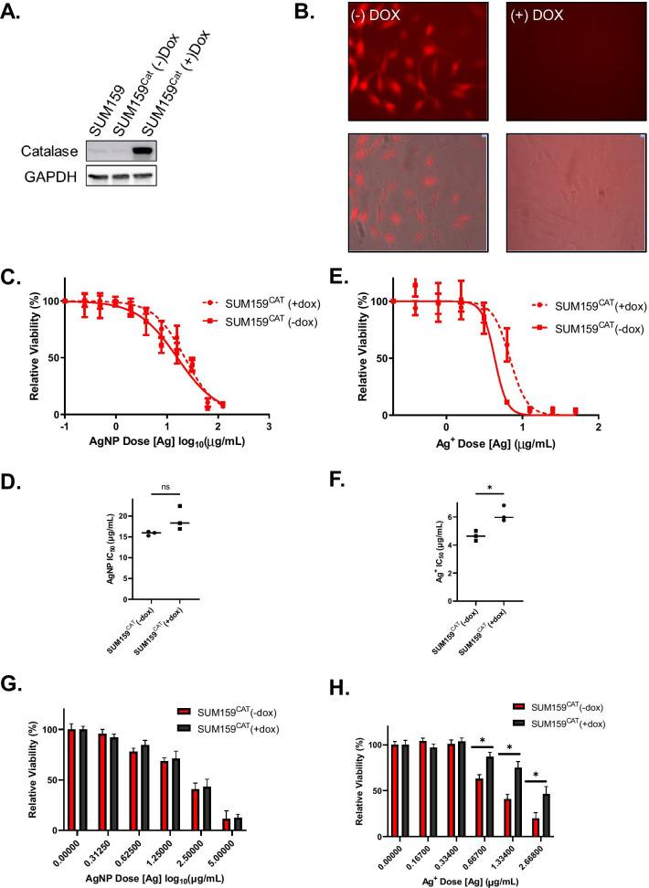 https://cdn.ncbi.nlm.nih.gov/pmc/blobs/50a1/8515661/263576c05a7e/12989_2021_430_Fig6_HTML.jpg
