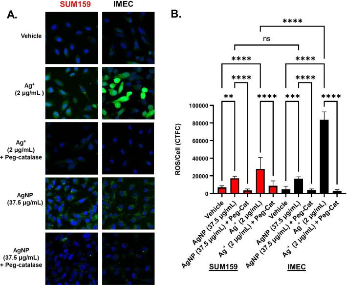https://cdn.ncbi.nlm.nih.gov/pmc/blobs/50a1/8515661/727fbea55f42/12989_2021_430_Fig4_HTML.jpg
