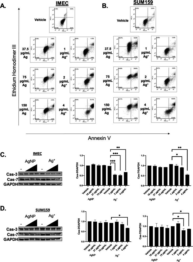 https://cdn.ncbi.nlm.nih.gov/pmc/blobs/50a1/8515661/ba77fe4e4ad9/12989_2021_430_Fig9_HTML.jpg