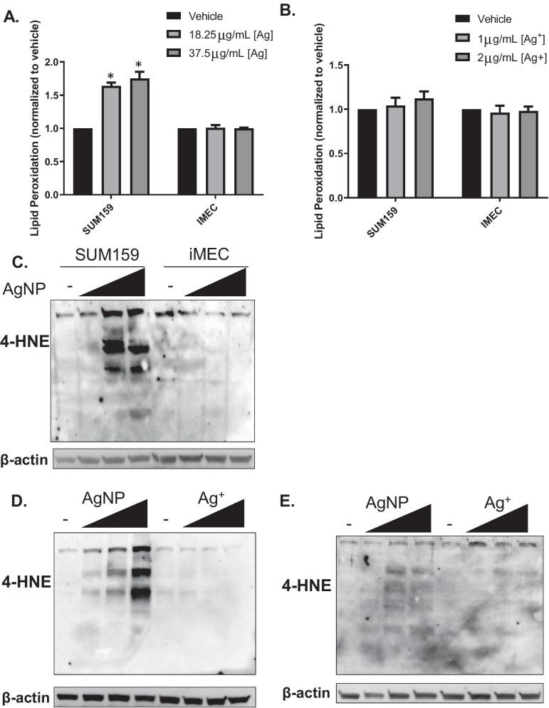 https://cdn.ncbi.nlm.nih.gov/pmc/blobs/50a1/8515661/cf5b61b31ff5/12989_2021_430_Fig7_HTML.jpg