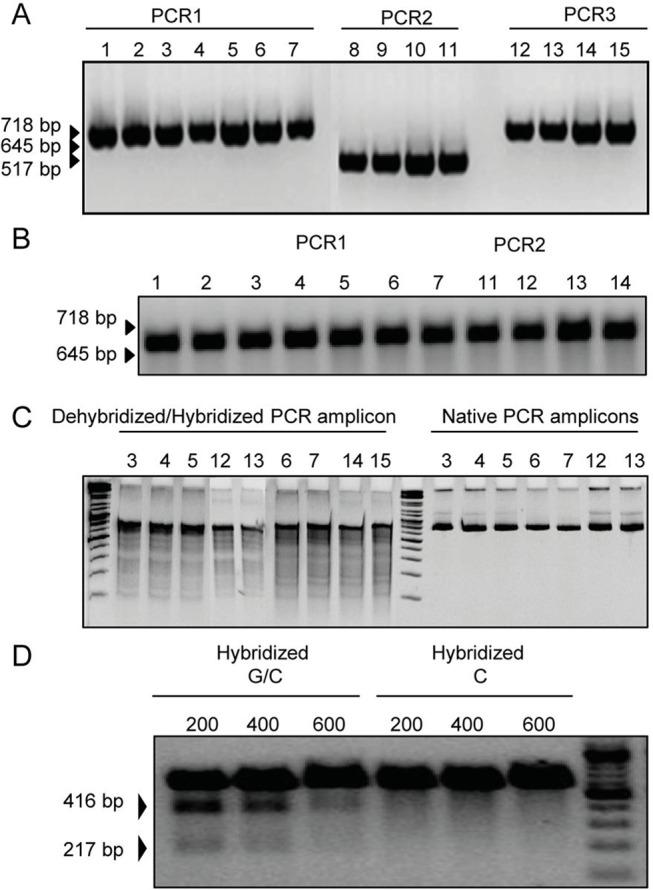 https://cdn.ncbi.nlm.nih.gov/pmc/blobs/50a3/4409370/9568a74077ea/pone.0122059.g006.jpg