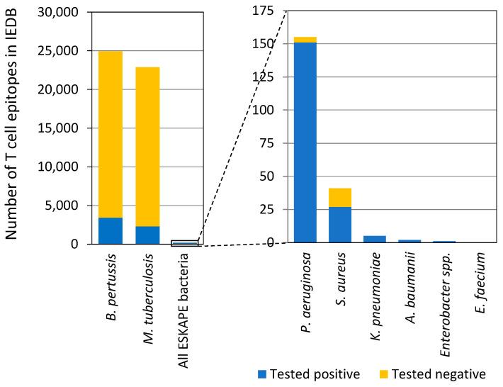 https://cdn.ncbi.nlm.nih.gov/pmc/blobs/50a4/11768834/90ff919199ce/vaccines-13-00087-g001.jpg