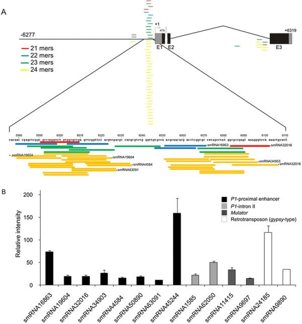 https://cdn.ncbi.nlm.nih.gov/pmc/blobs/50a4/3489873/8767ba0c3624/1471-2229-12-92-5.jpg