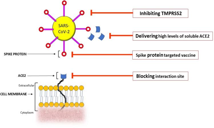 https://cdn.ncbi.nlm.nih.gov/pmc/blobs/50a5/7908946/9ff75ade69ae/40292_2021_439_Fig2_HTML.jpg