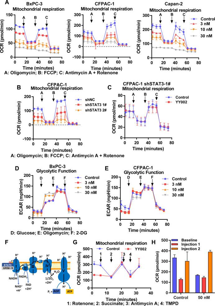 https://cdn.ncbi.nlm.nih.gov/pmc/blobs/50a7/10979493/10b3ea8c8a58/oc3c01440_0004.jpg