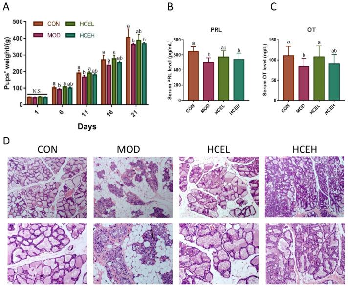 https://cdn.ncbi.nlm.nih.gov/pmc/blobs/50a7/8391212/582b5eafdae1/foods-10-01863-g001.jpg