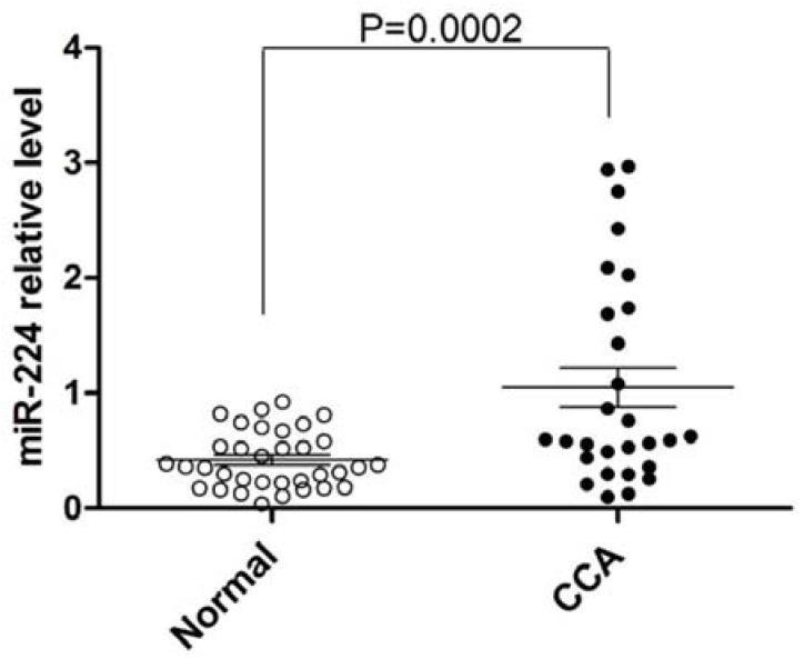 https://cdn.ncbi.nlm.nih.gov/pmc/blobs/50a9/4600154/12b4eced91ae/jcm-04-01713-g001.jpg