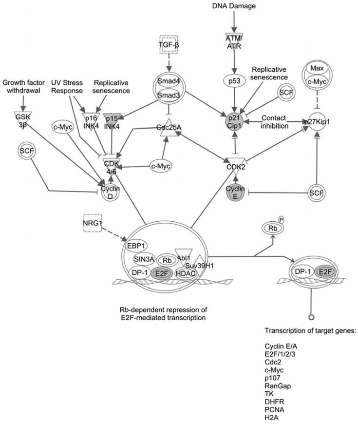 https://cdn.ncbi.nlm.nih.gov/pmc/blobs/50a9/4600154/8836549405e2/jcm-04-01713-g003.jpg