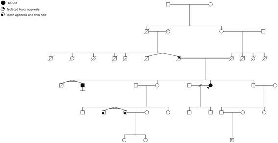 https://cdn.ncbi.nlm.nih.gov/pmc/blobs/50a9/4785680/547d17311857/12895_2016_40_Fig3_HTML.jpg