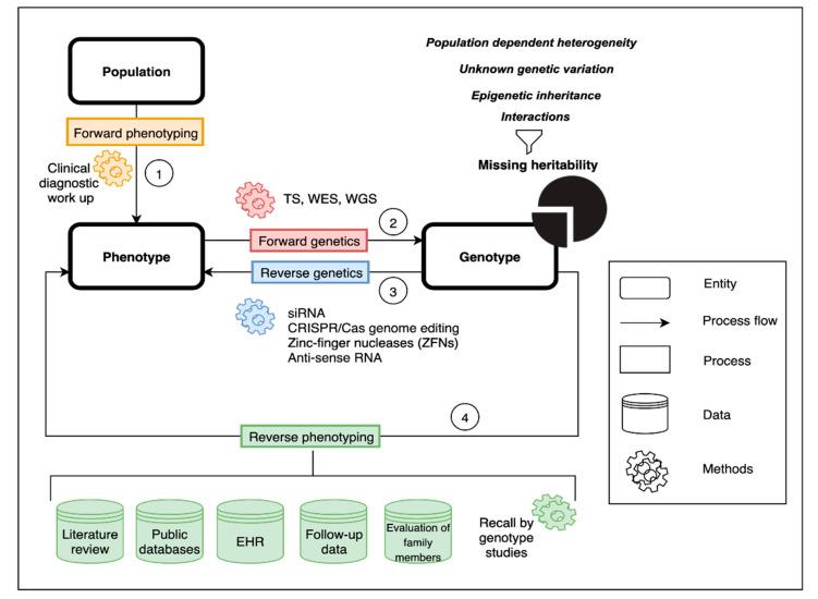 https://cdn.ncbi.nlm.nih.gov/pmc/blobs/50ab/7760524/2469f9cb48ce/genes-11-01408-g001.jpg