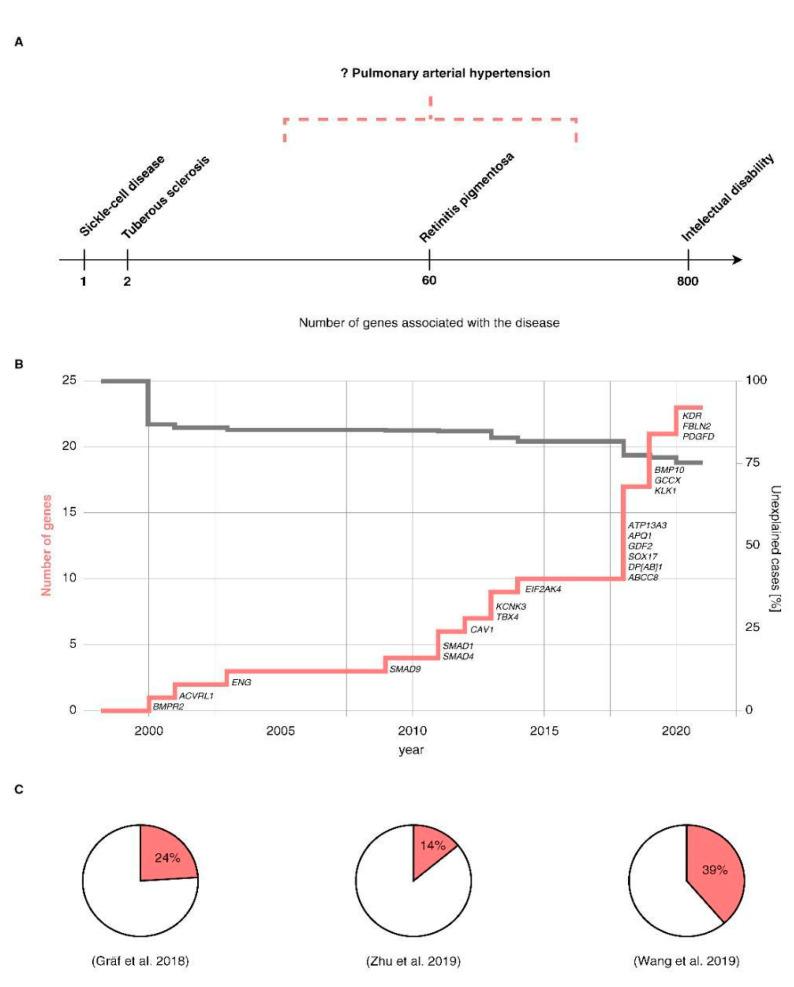 https://cdn.ncbi.nlm.nih.gov/pmc/blobs/50ab/7760524/289bacac6370/genes-11-01408-g003.jpg
