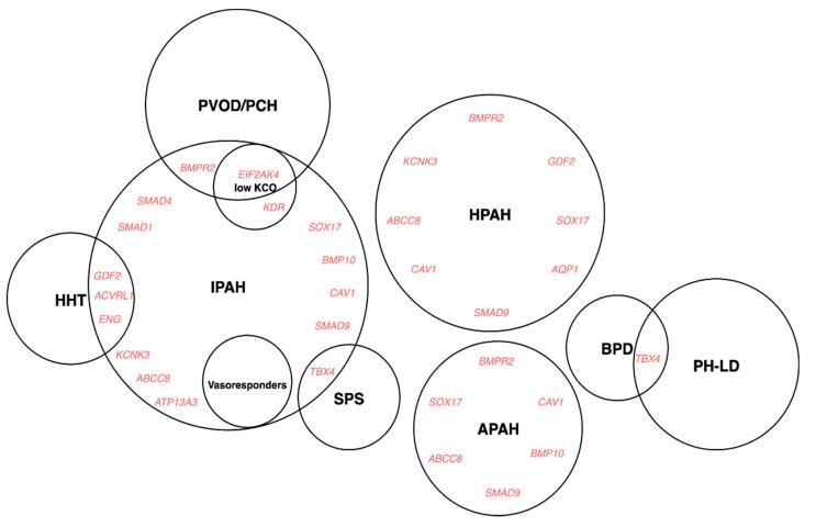 https://cdn.ncbi.nlm.nih.gov/pmc/blobs/50ab/7760524/cea1914df2d9/genes-11-01408-g004.jpg