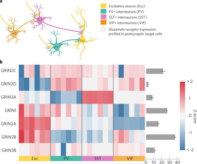 https://cdn.ncbi.nlm.nih.gov/pmc/blobs/50ad/10700609/487e30086a74/41386_2023_1614_Fig3_HTML.jpg