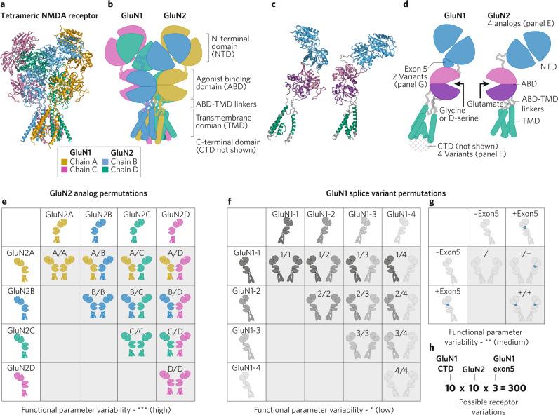 https://cdn.ncbi.nlm.nih.gov/pmc/blobs/50ad/10700609/54e2bbbb467d/41386_2023_1614_Fig1_HTML.jpg