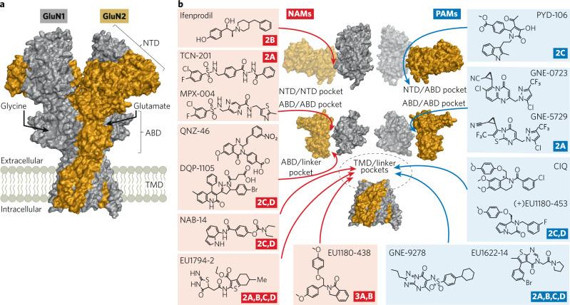 https://cdn.ncbi.nlm.nih.gov/pmc/blobs/50ad/10700609/95da89e8f8e2/41386_2023_1614_Fig4_HTML.jpg