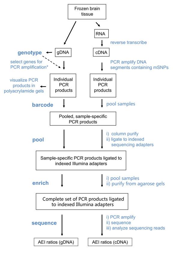https://cdn.ncbi.nlm.nih.gov/pmc/blobs/50ad/3228908/3ceaa2d65ac8/1471-2164-12-518-1.jpg