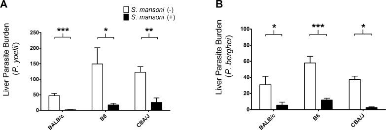 https://cdn.ncbi.nlm.nih.gov/pmc/blobs/50ad/5802944/260095527ecc/pntd.0006197.g002.jpg