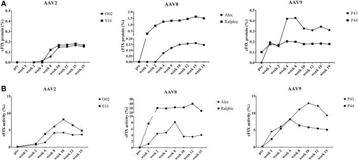 https://cdn.ncbi.nlm.nih.gov/pmc/blobs/50b0/8841897/4d4b1ac63a32/fphar-13-815317-g005.jpg