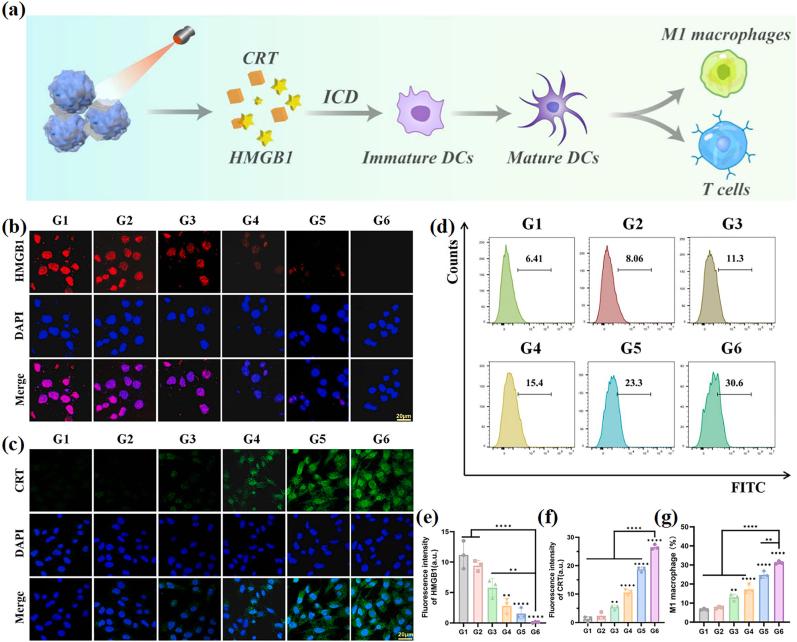 https://cdn.ncbi.nlm.nih.gov/pmc/blobs/50b2/12320709/876e8a1d4236/gr4.jpg