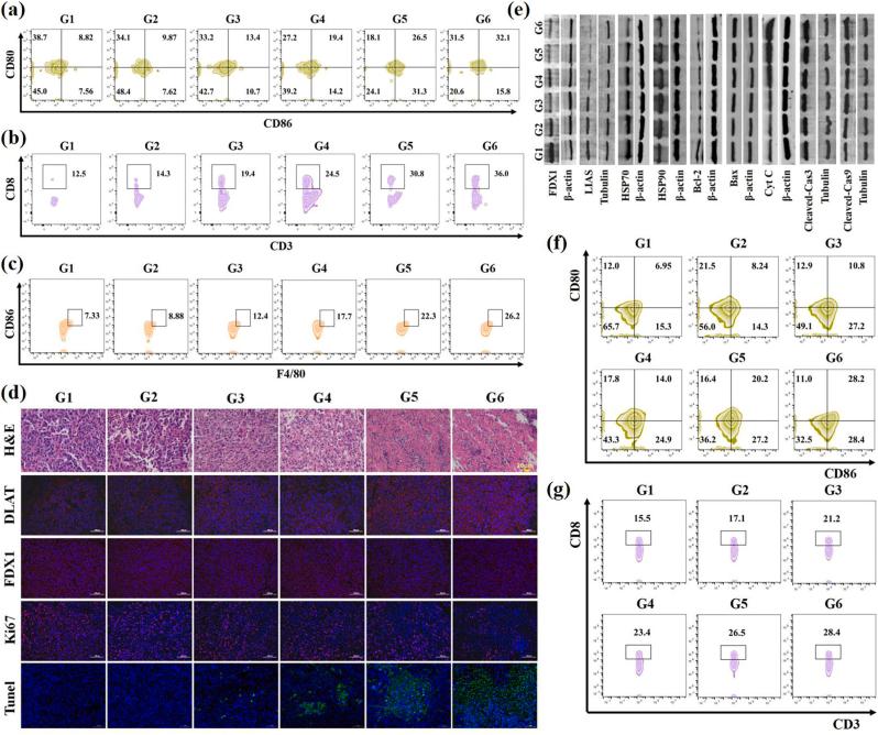 https://cdn.ncbi.nlm.nih.gov/pmc/blobs/50b2/12320709/d5a488450ecd/gr6.jpg