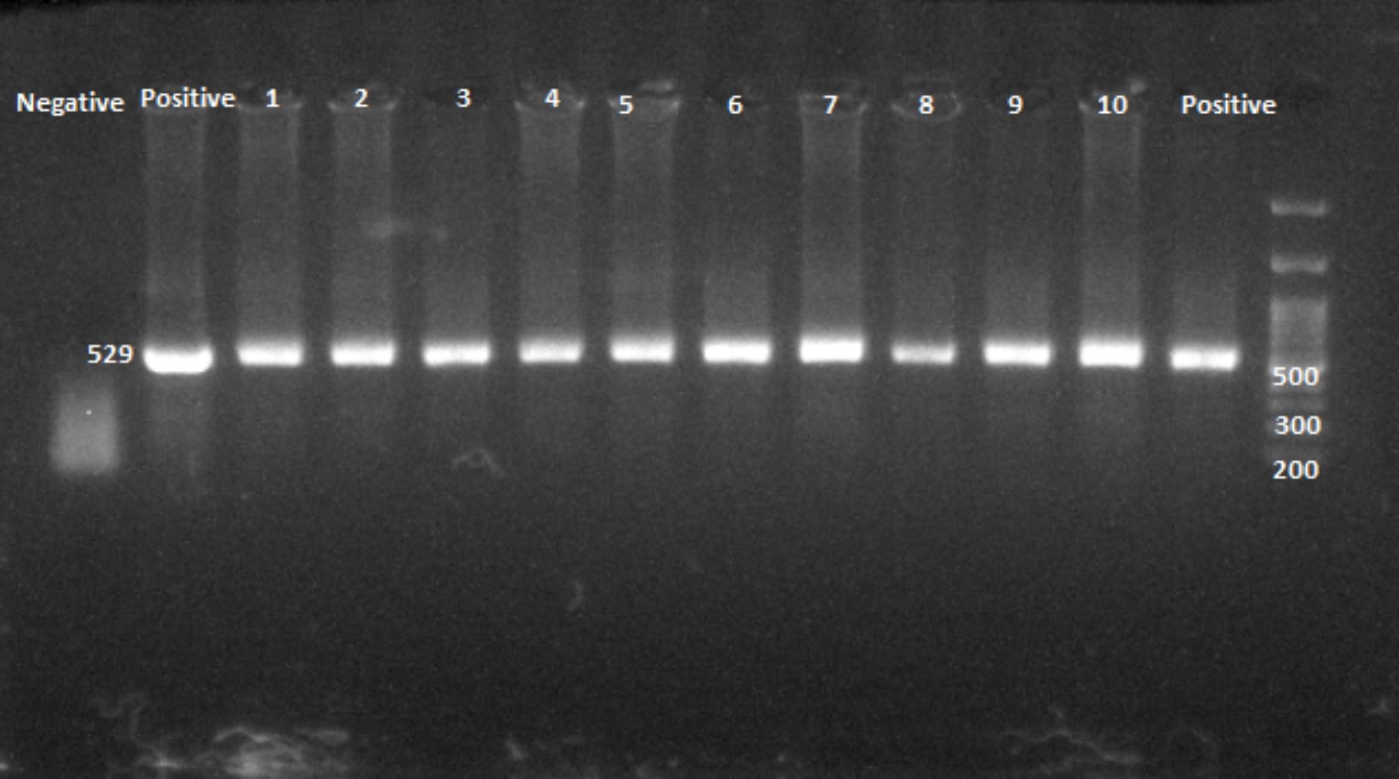 https://cdn.ncbi.nlm.nih.gov/pmc/blobs/50b3/10469906/9fe0447744f4/12906_2023_4107_Fig2_HTML.jpg