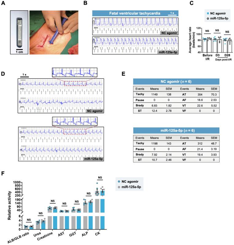 https://cdn.ncbi.nlm.nih.gov/pmc/blobs/50b4/9830430/0ce63260d870/thnov13p0685g008.jpg