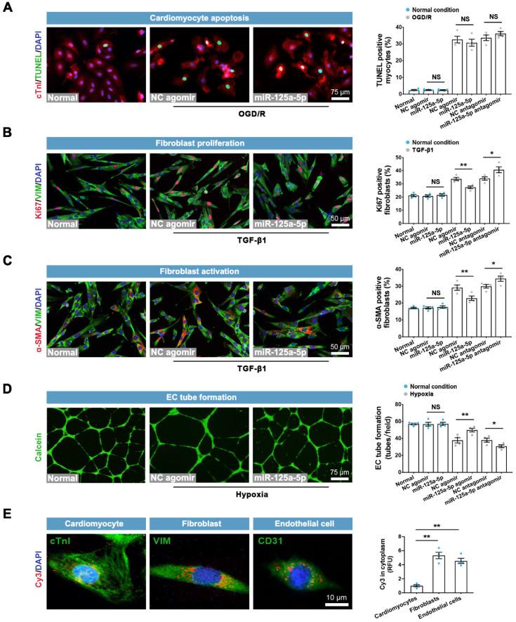 https://cdn.ncbi.nlm.nih.gov/pmc/blobs/50b4/9830430/104eb0f4b4bb/thnov13p0685g004.jpg