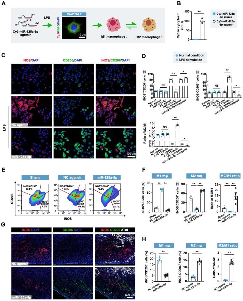 https://cdn.ncbi.nlm.nih.gov/pmc/blobs/50b4/9830430/7aefcef40cda/thnov13p0685g003.jpg