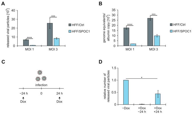 https://cdn.ncbi.nlm.nih.gov/pmc/blobs/50b5/10976249/9df3087ca2a0/viruses-16-00363-g002.jpg