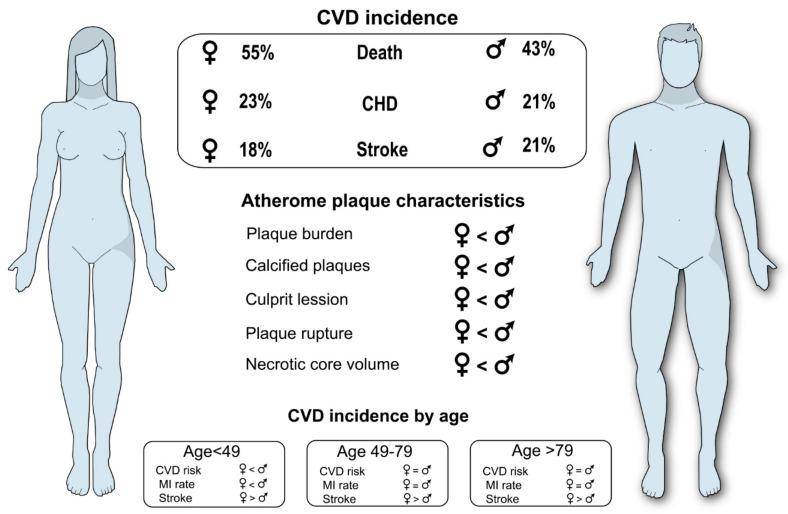 https://cdn.ncbi.nlm.nih.gov/pmc/blobs/50b6/8954705/332ae6f51b27/ijms-23-03346-g004.jpg