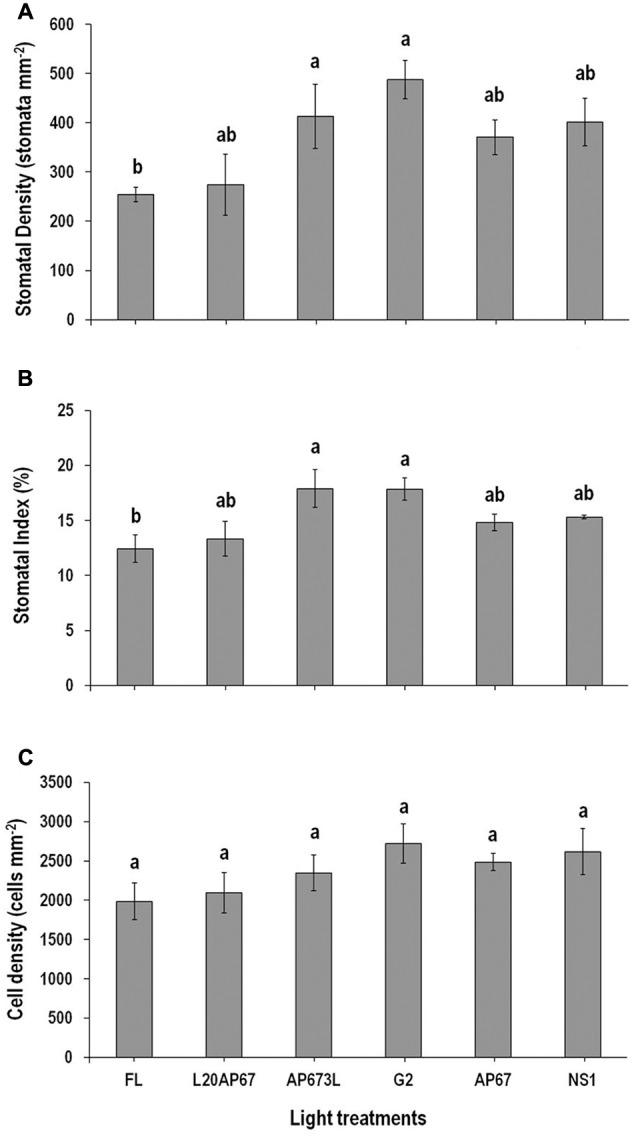 https://cdn.ncbi.nlm.nih.gov/pmc/blobs/50b7/5306215/aeb046f556d0/fpls-08-00188-g002.jpg