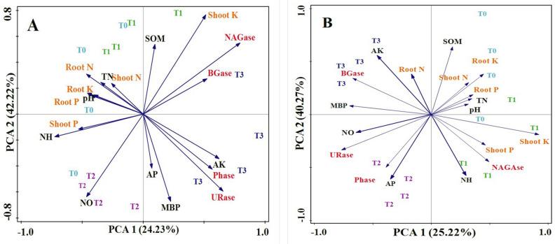 https://cdn.ncbi.nlm.nih.gov/pmc/blobs/50b8/11096329/0e9b5870679b/41598_2024_61446_Fig4_HTML.jpg