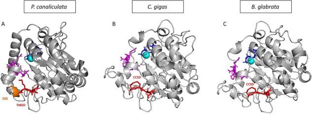 https://cdn.ncbi.nlm.nih.gov/pmc/blobs/50b9/11005171/6ad5c4ece8e2/cwae013f6.jpg