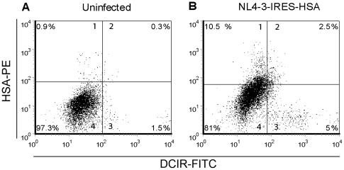 https://cdn.ncbi.nlm.nih.gov/pmc/blobs/50b9/2978727/b961953ae9cf/ppat.1001188.g002.jpg