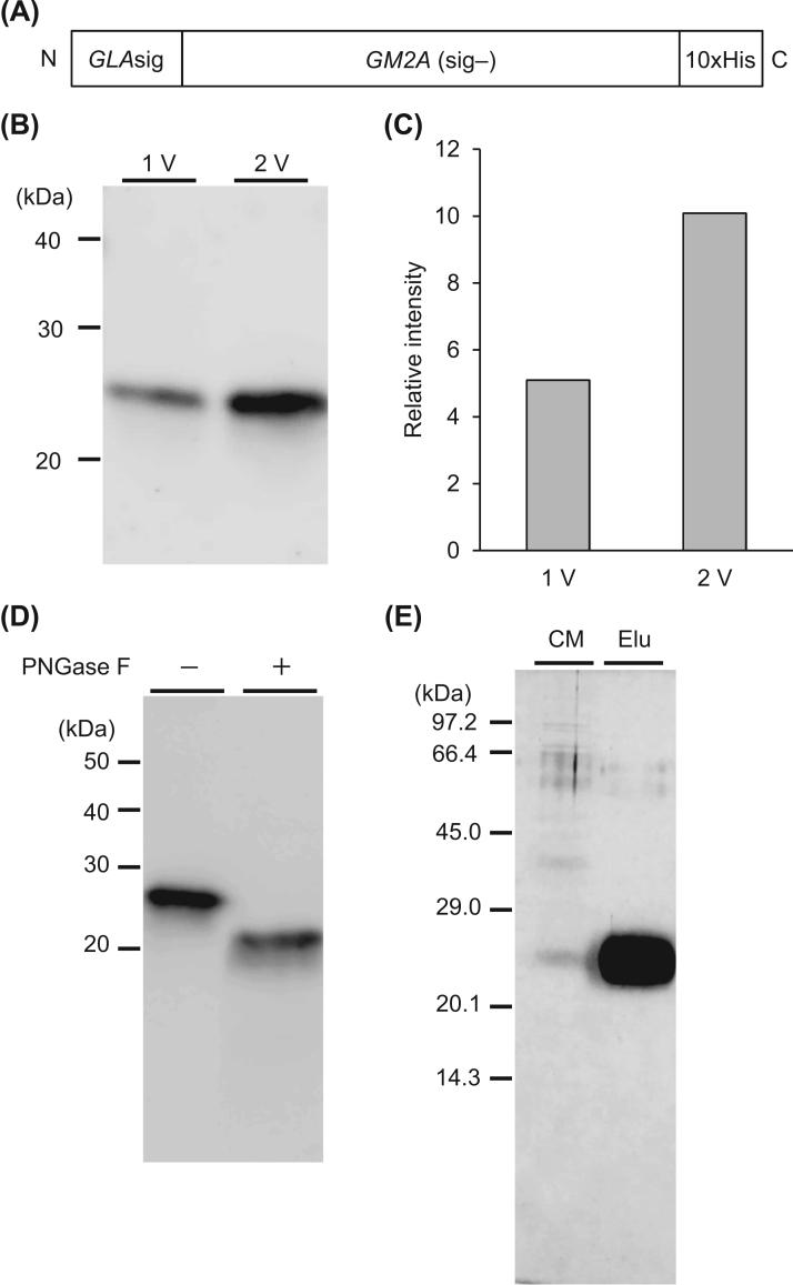 https://cdn.ncbi.nlm.nih.gov/pmc/blobs/50b9/5613250/7002d85d0208/gr1.jpg